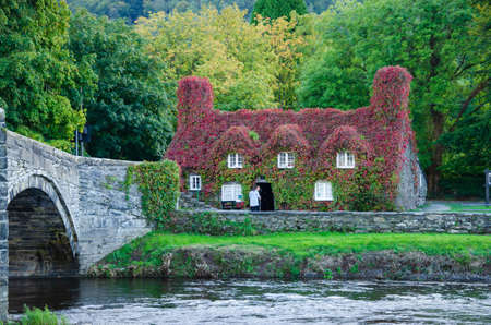 Llanrwst, North Wales, UK: Sep 14, 2017: The Virginia Creeper clad Tu Hwnt iâ€™r Bont...