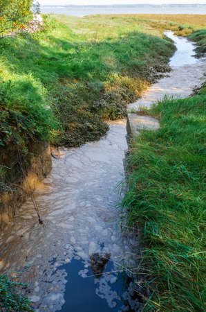 Water pollution is evident in the outflow of water from a sewage sluice at Flint Dock in North...