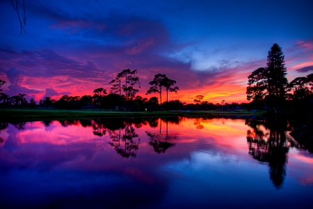 Sunset over a Pondの写真素材