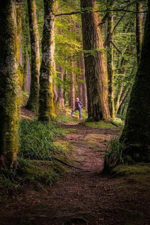 Woman in a deep part of the forest just outside the township of Glencoe, Scotland.
