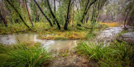 A fast running stream with small waterfalls in a woodland soth of Sydney, Australia.の写真素材