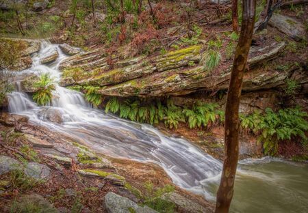 A fast running stream with small waterfalls in a woodland soth of Sydney, Australia.の写真素材