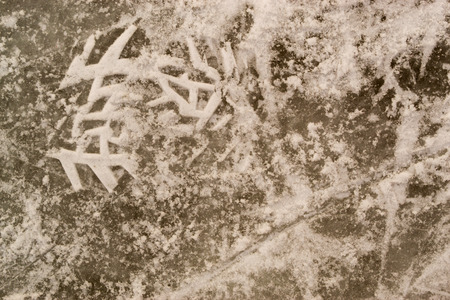 A frozen human footprint on Iceの写真素材