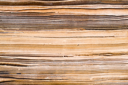 Artifical stone wood effect used for building and constructionの写真素材