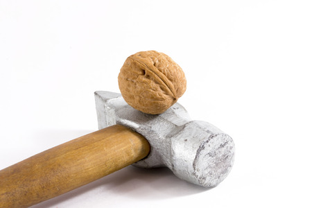 Close up of a walnut resting on a silver metal hammer headの写真素材