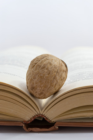A single walnut sits on top of the pages of an open book suggesting intellect and a strong brain