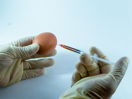An unknown latex gloved medical stranger injects a fresh egg with an unknown poison or GMO chemicalの写真素材