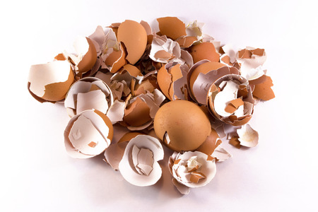 A pile of smashed crushed and broken eggshells on white backgroundの写真素材