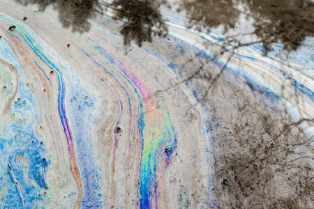 Multicolored oil leak effect on water surface with tree reflections in the poolの写真素材