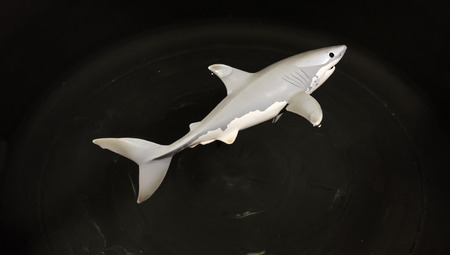 Overhead image of a toy great white shark on a black background with shadowsの写真素材
