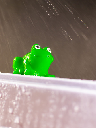 Plastic green frog toy enjoys a shower of rainの写真素材