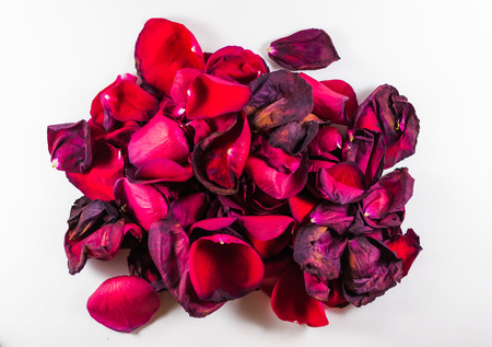 Old and dying rose petals with defocus areas on white backgroundの写真素材