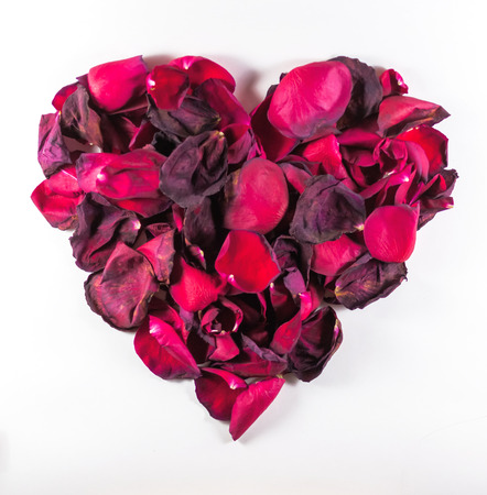 Decaying rose petals formed into a heart shape on a white backgroundの写真素材