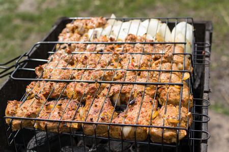 Marinated beef shashlik cooking on an open barbecue fireの写真素材