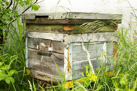 Single Russian wooden beehive in a village gardenの写真素材