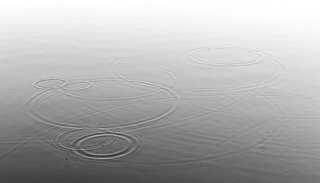 Fresh rain drops create ripples on the surface of a pondの写真素材