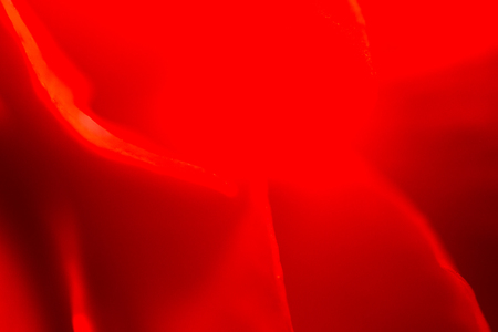 Single red Begonia abstract macro image with defcoused petalsの写真素材