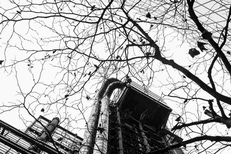 Modern Office Center in abstract form with branches and leaves of a dying tree in black and white B&Wのeditorial素材