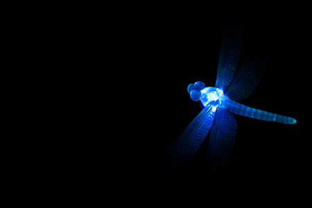 Single blue glass or plastic ornamental dragonfly glows at night on a black backgroundの写真素材