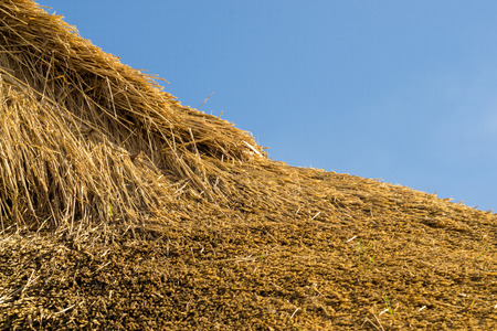 Closeup detail of a freshly thatched roof using professional thatch materialsの写真素材