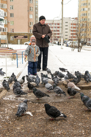 UFA, RUSSIA - NOVEMBER 16, 2015: Elderly grandfather and his grandson feed pigeons on a street in Ufa, Russia, providing the wild birds with valuable food during the cold winter monthsのeditorial素材