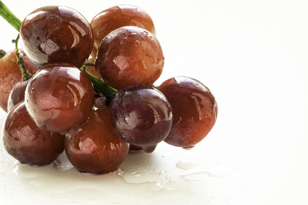Bunch of red grapes in studio close-up with a mist of fresh water drops on a white background. Copy space area for menus or restaurant themed designsの写真素材