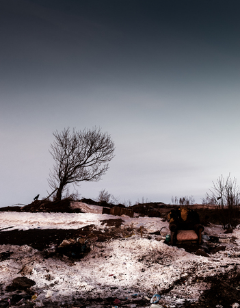 Old tree with a dumped armchair in a vertical composition with rubbish in the background and a crow resting near the tree.の写真素材