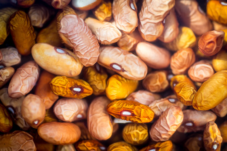 Dried orange coloured beans absorb water as they soak overnight to rehydrate. Food background.の写真素材