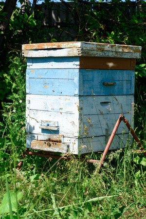 Wooden beehives and painted vibrant colours used by bees as a home colony for honey productionの写真素材