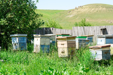 Wooden beehives and painted vibrant colours used by bees as a home colony for honey production