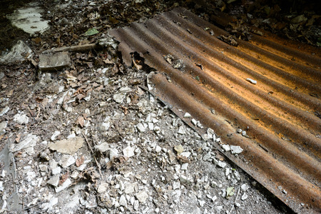 Old rusting corrugated metal rests on a leaf covered floor.の写真素材