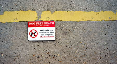 No Dogs on the beach sign showing a penalty for breaking the rules.の写真素材