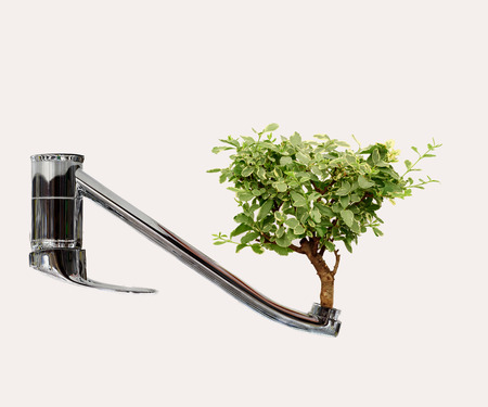 Water saving concept of a kitchen tap with a lush green tree growing from the tap opening....