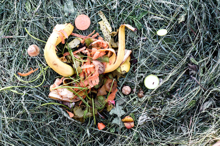 Leftover kitchen waste from a home deposited on a compost heap. Composting organic peelings and skins for garden recycling.の写真素材