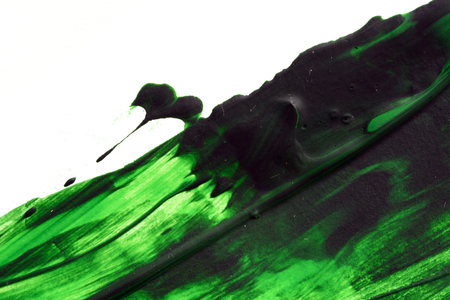 Green Oil paint brush strokes in green on white canvas area with copyspace area for art based designs and backgroundsの写真素材