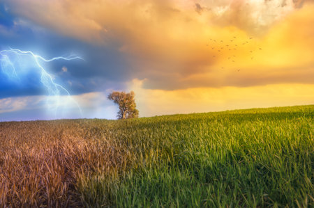 Seasonal split image depicting weather changesの写真素材
