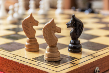 Wooden chess pieces on a chessboard, close-up.