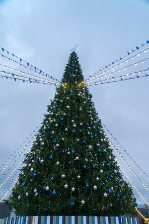 View of the main Christmas tree of the city.の写真素材