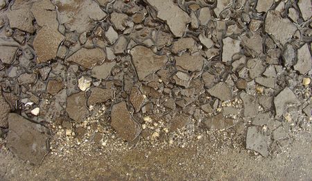 brown gray little slices of stone in a wet pavement                               