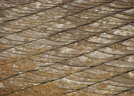 roof of house showing shales scales  with spurs and wear                                の写真素材
