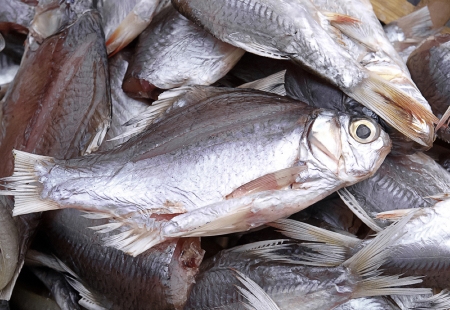 Dried sea fishes ready to cooking at the seafood market 