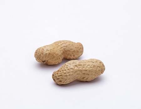 Peanuts isolated on white backgroundの写真素材