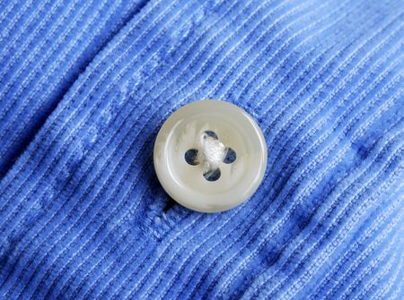 Close up view of a button from a shirt