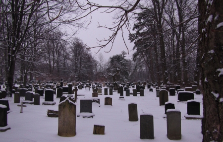 Cemetary landscape in winter 