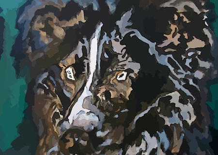 Graphic depiction of Sheep Dogの写真素材