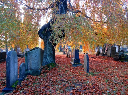 Old 1800s headstone in Halifax City Camp Hill Cemetery in the Fall.