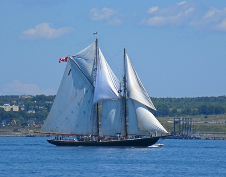 The famous Bluenose Schooner in Halifax Nova Scotia harbor.のeditorial素材