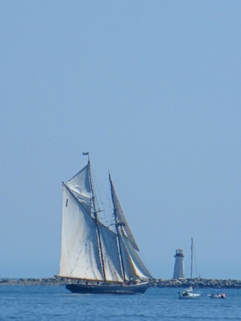 Famous Bluenose sailing schooner under sail in Halifax harbor with the McNabs Island lighthouse in the background.のeditorial素材
