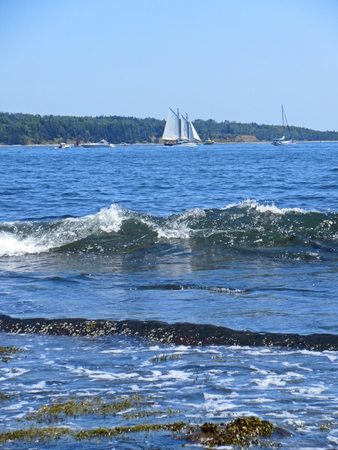 Photograph of sailing ship in Halifax with waves in the foreground.のeditorial素材
