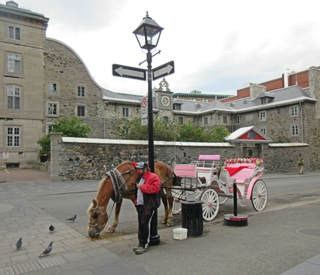 Hansom Cab in Old Montreal.のeditorial素材